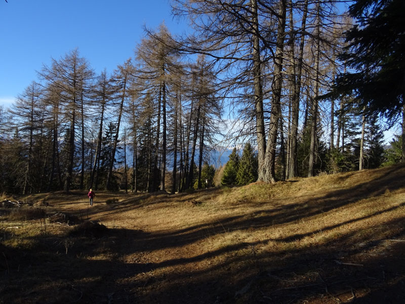 Corno di Tres - Corno del Cervo